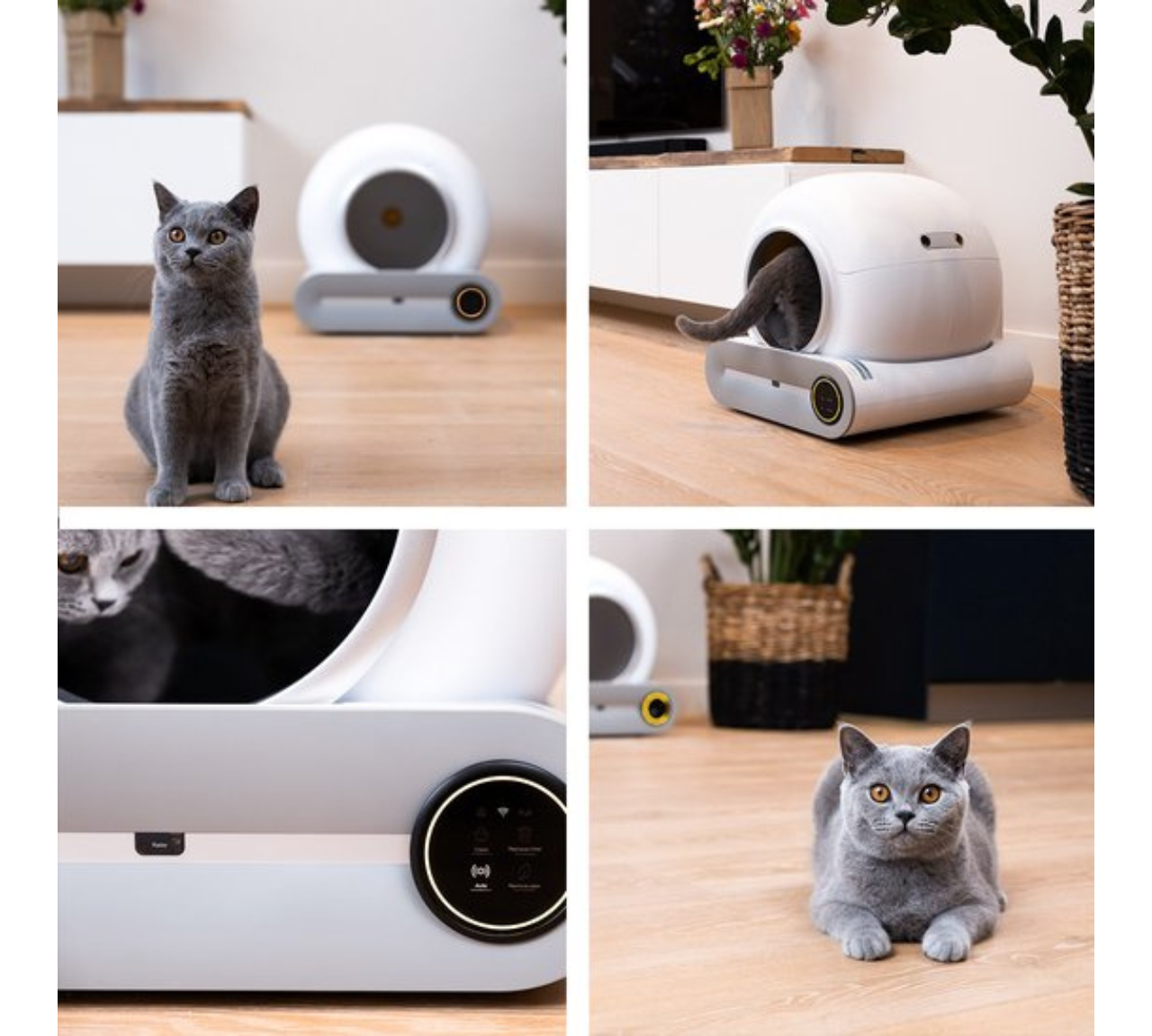 CatoMatic - Zelfreinigende Kattenbak