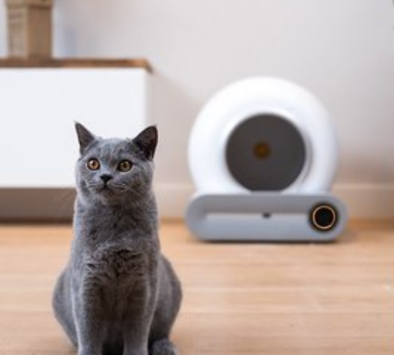 CatoMatic - Zelfreinigende Kattenbak